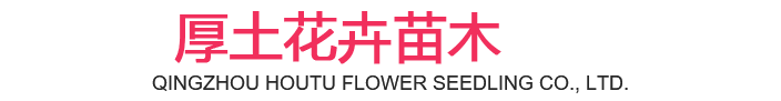 永旺快投网